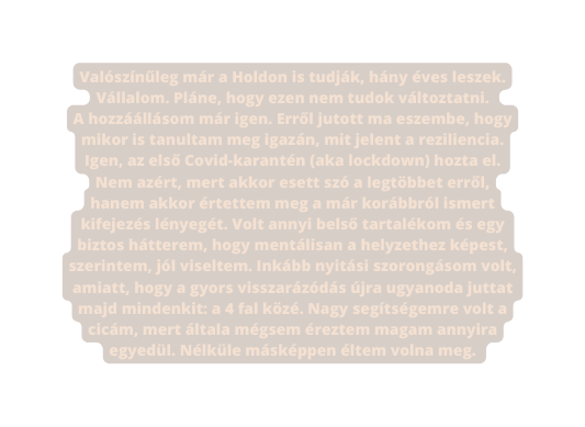 Valószínűleg már a Holdon is tudják hány éves leszek Vállalom Pláne hogy ezen nem tudok változtatni A hozzáállásom már igen Erről jutott ma eszembe hogy mikor is tanultam meg igazán mit jelent a reziliencia Igen az első Covid karantén aka lockdown hozta el Nem azért mert akkor esett szó a legtöbbet erről hanem akkor értettem meg a már korábbról ismert kifejezés lényegét Volt annyi belső tartalékom és egy biztos hátterem hogy mentálisan a helyzethez képest szerintem jól viseltem Inkább nyitási szorongásom volt amiatt hogy a gyors visszarázódás újra ugyanoda juttat majd mindenkit a 4 fal közé Nagy segítségemre volt a cicám mert általa mégsem éreztem magam annyira egyedül Nélküle másképpen éltem volna meg