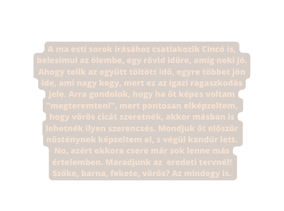 A ma esti sorok írásához csatlakozik Cincó is belesimul az ölembe egy rövid időre amíg neki jó Ahogy telik az együtt töltött idő egyre többet jön ide ami nagy kegy mert ez az igazi ragaszkodás jele Arra gondolok hogy ha őt képes voltam megteremteni mert pontosan elképzeltem hogy vörös cicát szeretnék akkor másban is lehetnék ilyen szerencsés Mondjuk őt először nősténynek képzeltem el s végül kandúr lett No azért ekkora csere már sok lenne más értelemben Maradjunk az eredeti tervnél Szőke barna fekete vörös Az mindegy is